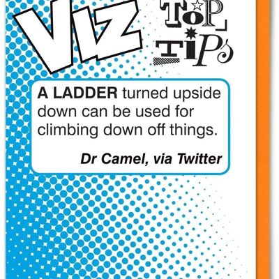 Ladder Viz Top Tips Biglietto d'auguri divertente