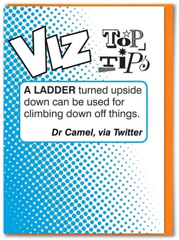 Ladder Viz Top Tips Carte d'anniversaire drôle 1
