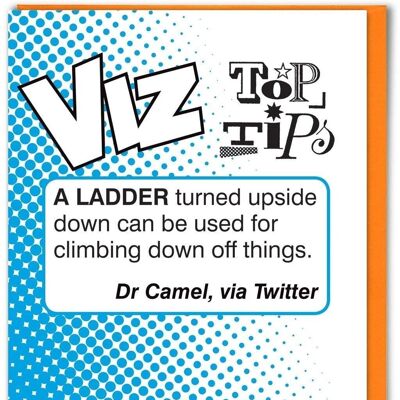 Ladder Viz Top Tips Funny Birthday Card