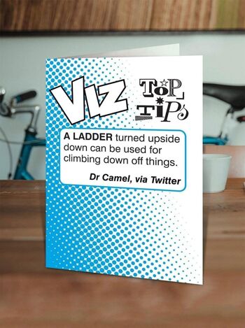 Ladder Viz Top Tips Carte d'anniversaire drôle 2