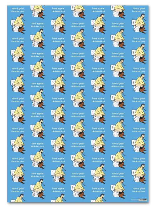 Funny Gift Wrap - Birthday Poo**Pack of 2 Sheets Folded**