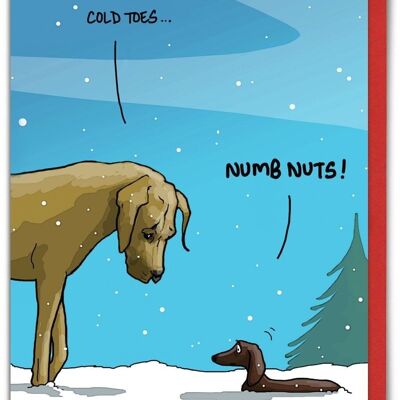 Cartolina di Natale divertente - noci insensibili