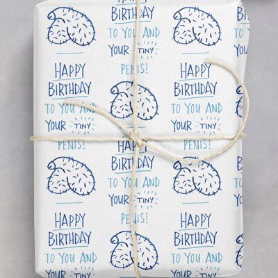 Birthday Tiny Penis Rude Gift Wrap **Pack of 2 Sheets Folded**