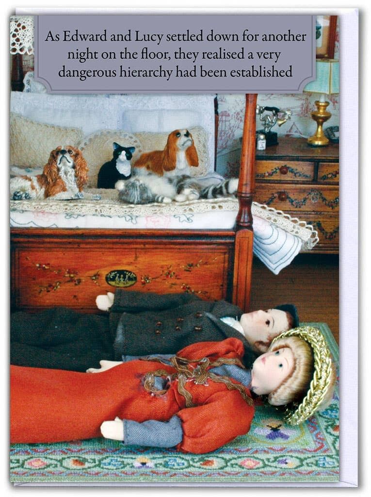 Hierarchie lustige Geburtstagskarte von Brainbox Candy