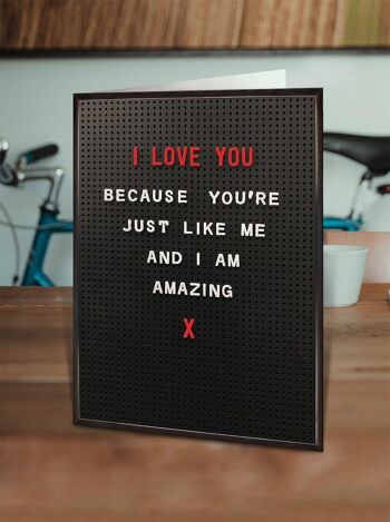 Just Like Me Amazing Funny Valentines Card 2