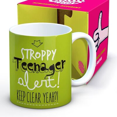 Funny Stroppy Teenager Mug