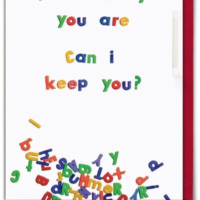 You're lovely can i keep you Funny Valentines Card