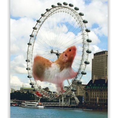 Hamster Postkarte
