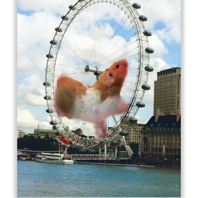 Carte postale de hamster