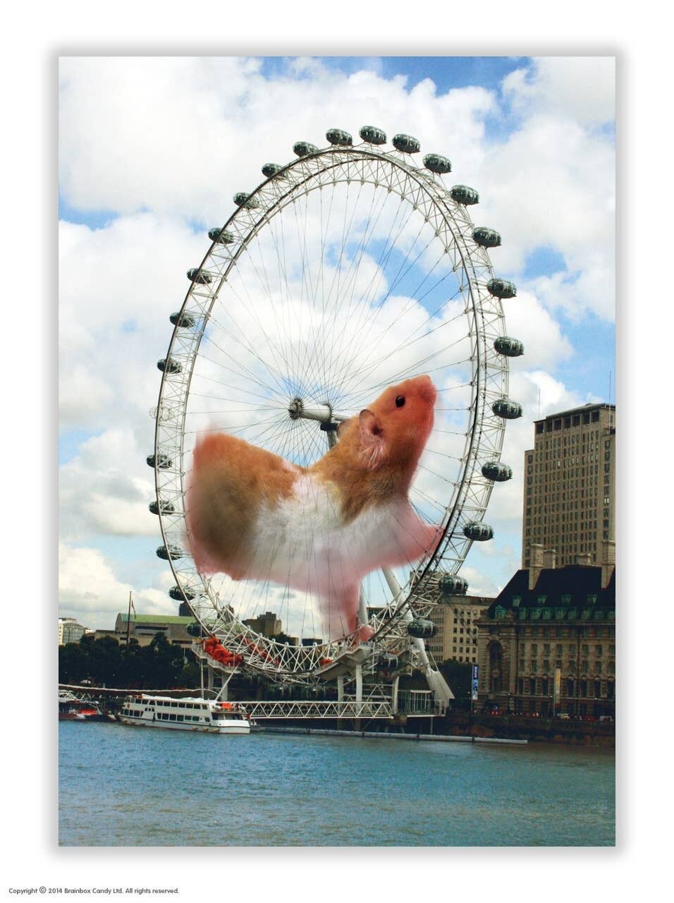 Hamster Postkarte