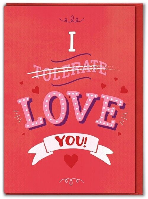 I Tolerate You Funny Valentines Card