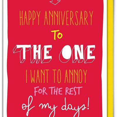 Anniversary Funny Anniversary Card