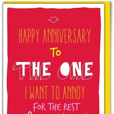 Anniversary Funny Anniversary Card