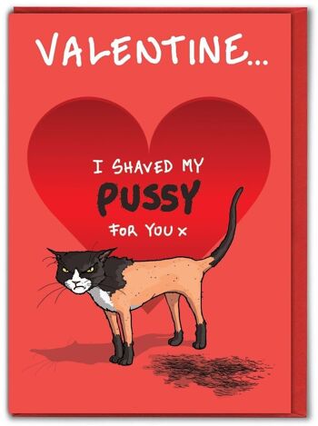 Carte de Saint Valentin drôle - chatte rasée 1