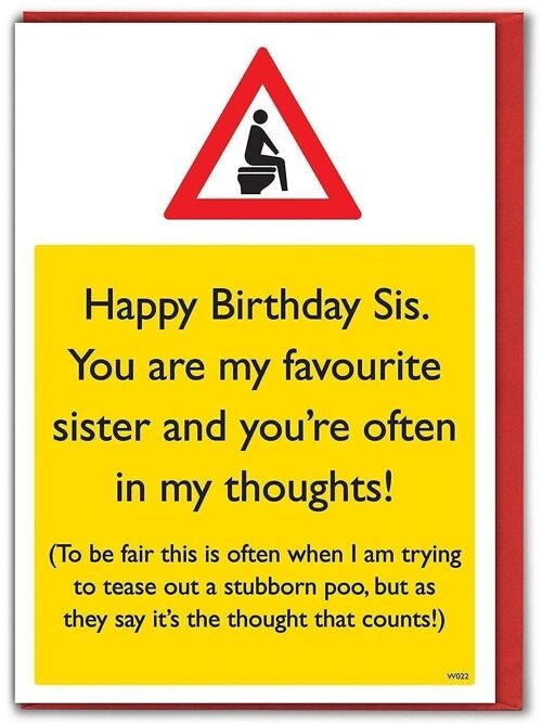 Poo Thoughts Funny Sister Card