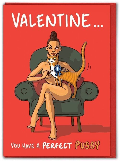 Perfect Pussy Funny Valentines Card