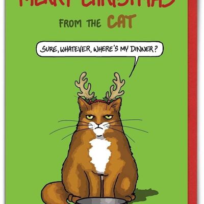 Funny Christmas Card From The Cat - Sure Whatever by Brainbox Candy