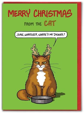 Kaufen Sie Lustige Weihnachtskarte von der Katze – Sure Whatever von  Brainbox Candy zu Großhandelspreisen