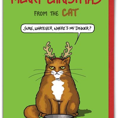 Funny Christmas Card From The Cat - Sure Whatever by Brainbox Candy