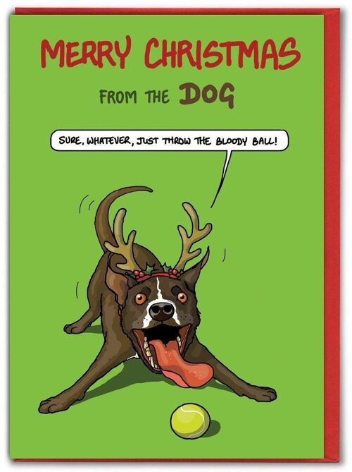 Funny Christmas Card From The Dog- Bloody Ball by Brainbox Candy