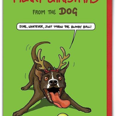 Funny Christmas Card From The Dog- Bloody Ball by Brainbox Candy
