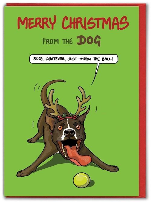Funny Christmas Card From The Dog - Sure Whatever by Brainbox Candy