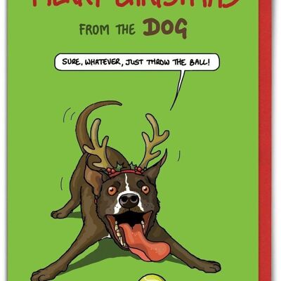 Funny Christmas Card From The Dog - Sure Whatever by Brainbox Candy