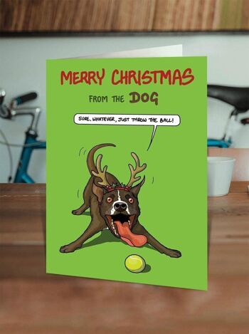 Carte de Noël amusante du chien - Bien sûr quoi que ce soit par Brainbox Candy 2