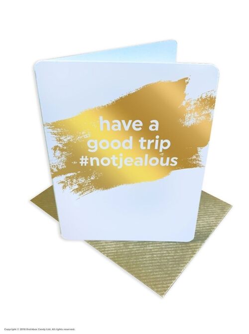 Bon Voyage Have A Good Trip #Notjealous Funny Bon Voyage Small Card