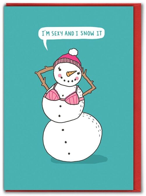 Sexy And I Snow It Funny Christmas Card