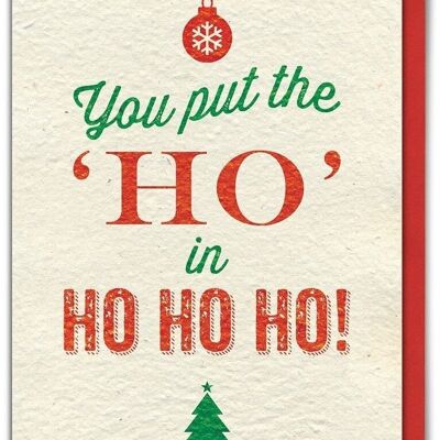 Ponga la tarjeta de Navidad divertida de Ho In Ho Ho Ho