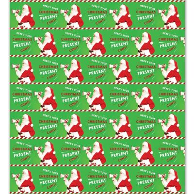 Christmas Present Cunt Rude Gift Wrap **Pack of 2 Sheets Folded**