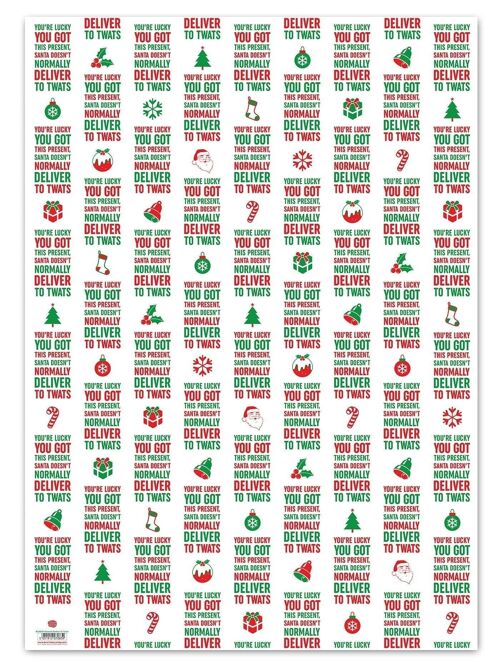 Christmas Gift Wrap - Deliver To Twats **Pack of 2 Sheets Folded** by Brainbox Candy