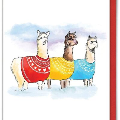 Cartolina di Natale divertente di Knit Wits