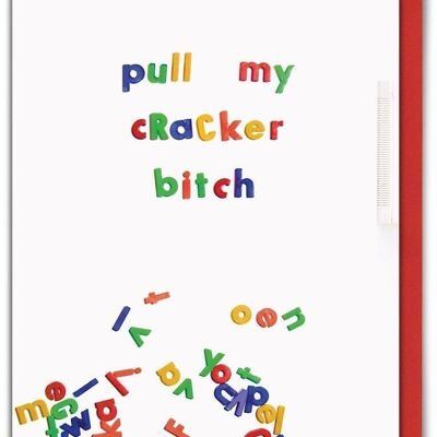 Natale Pull My Cracker Bitch divertente cartolina di Natale