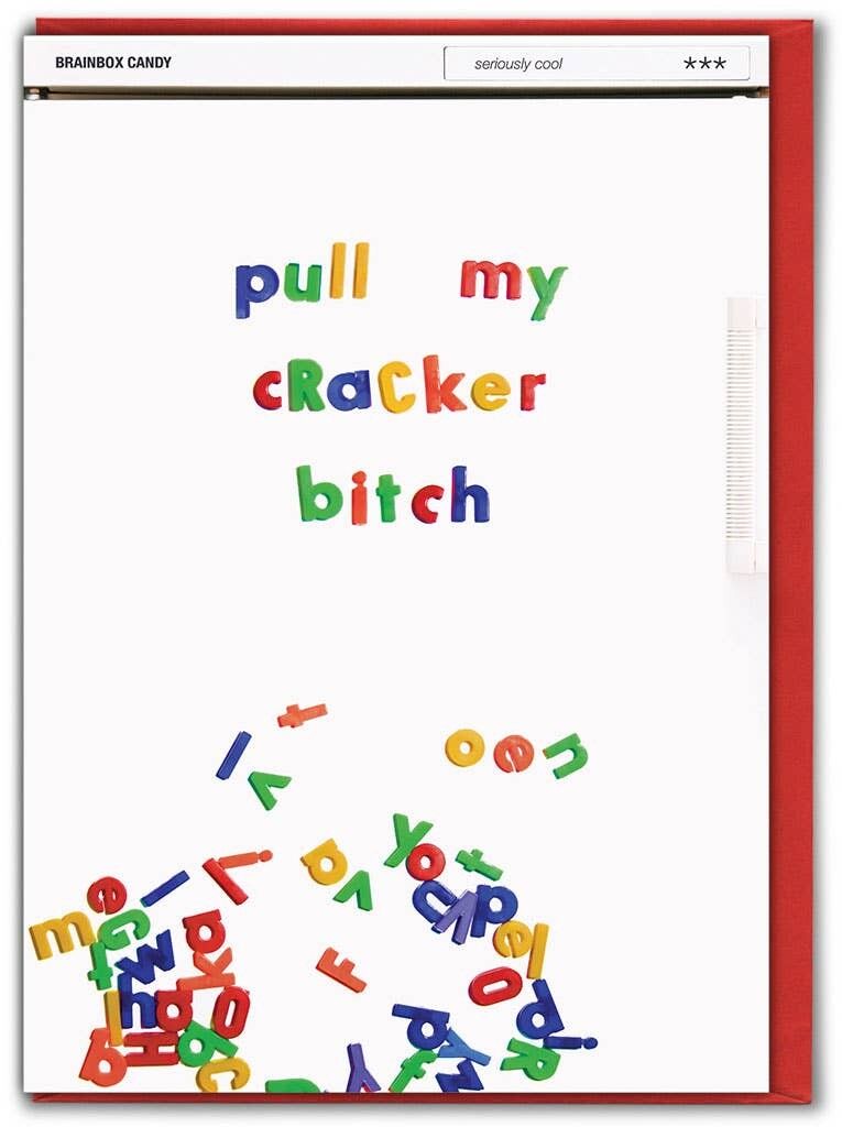 Natale Pull My Cracker Bitch divertente cartolina di Natale