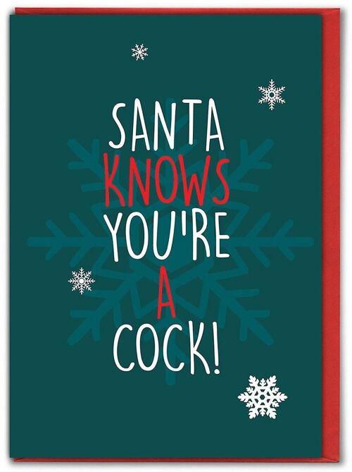 Santa Knows Funny Christmas Card