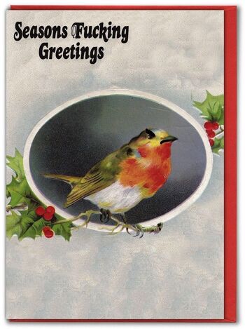 Carte de Noël Robin 1
