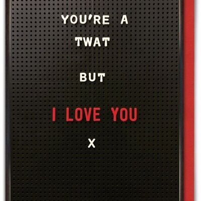 Vous êtes un Tw Rude Funny Valentines Card