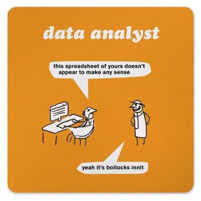 Analista di dati Coaster