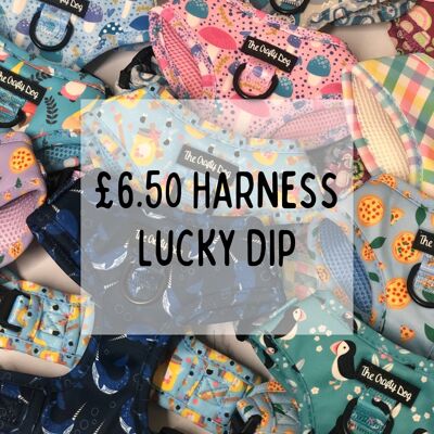 £6.50 Arnés ajustable Lucky Dip