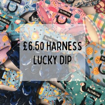 6,50 € Harnais réglable Lucky Dip 1