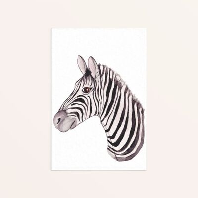 Grußkarte Zebra