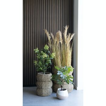 Pot de fleurs - Pot de fleurs en céramique, beige/marron, rond, Ø20,5x15 cm 4