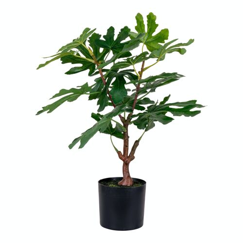Fig Tree - Artificial tree, green, 50 cm