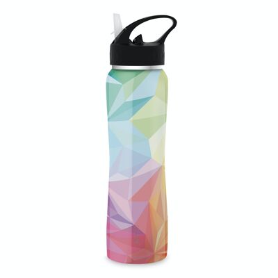 THE STEEL BOTTLE MOST WANTED #47 GEOMETRIC COLOR