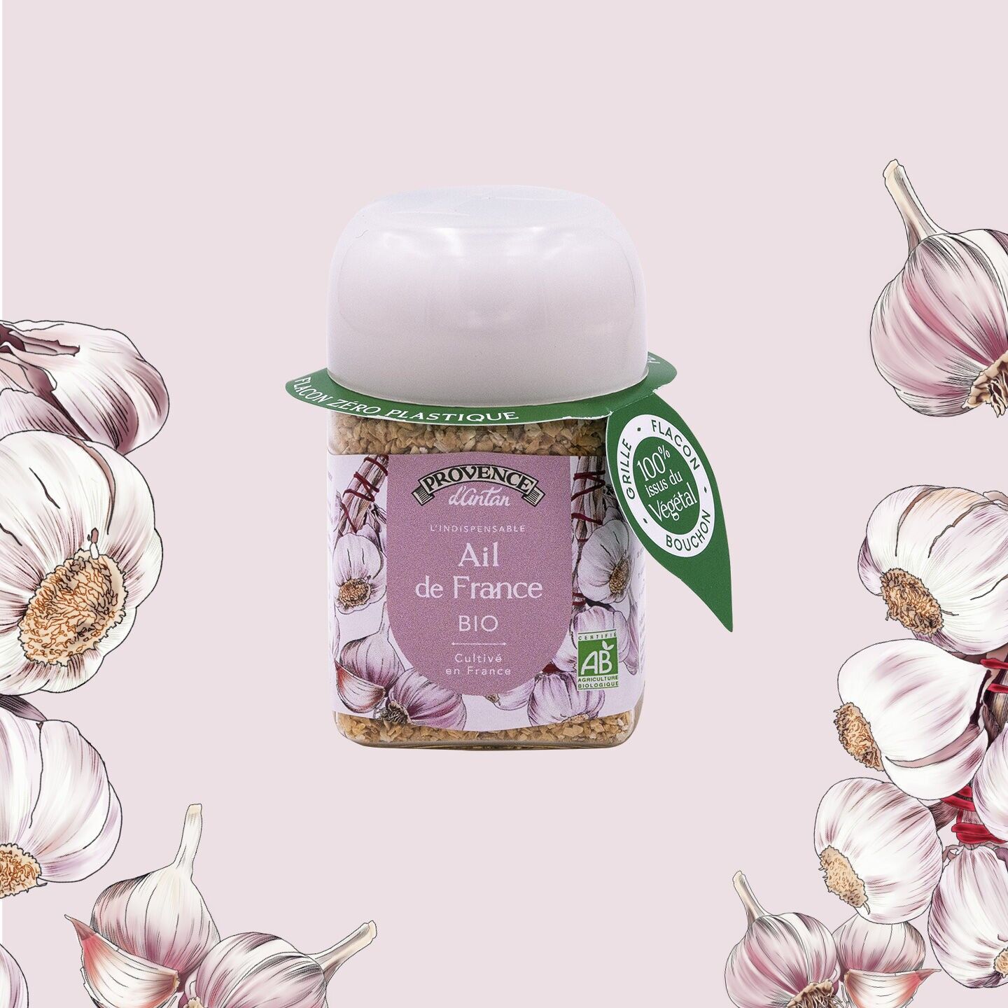 Aglio biologico* Origine Francia - Vaso per piante in PLA da 35 g