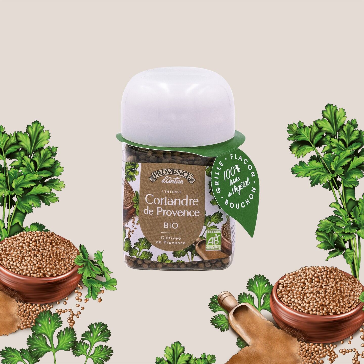 Coriander (grains) Organic* 30g - PLA Plant Pot