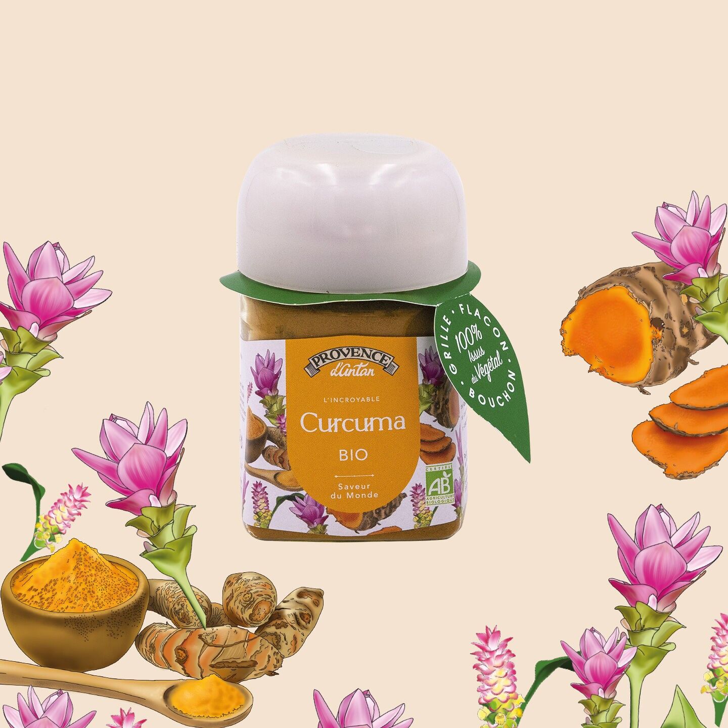 Bio Kurkuma* 40g - PLA Pflanztopf