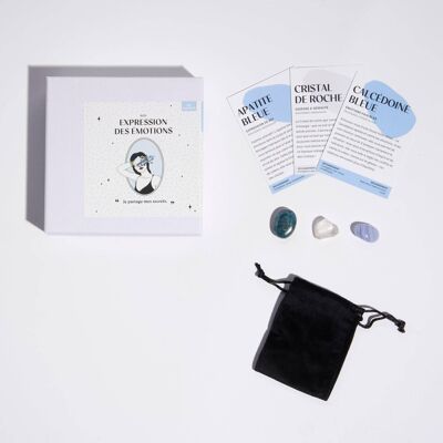 Expression of emotions kit